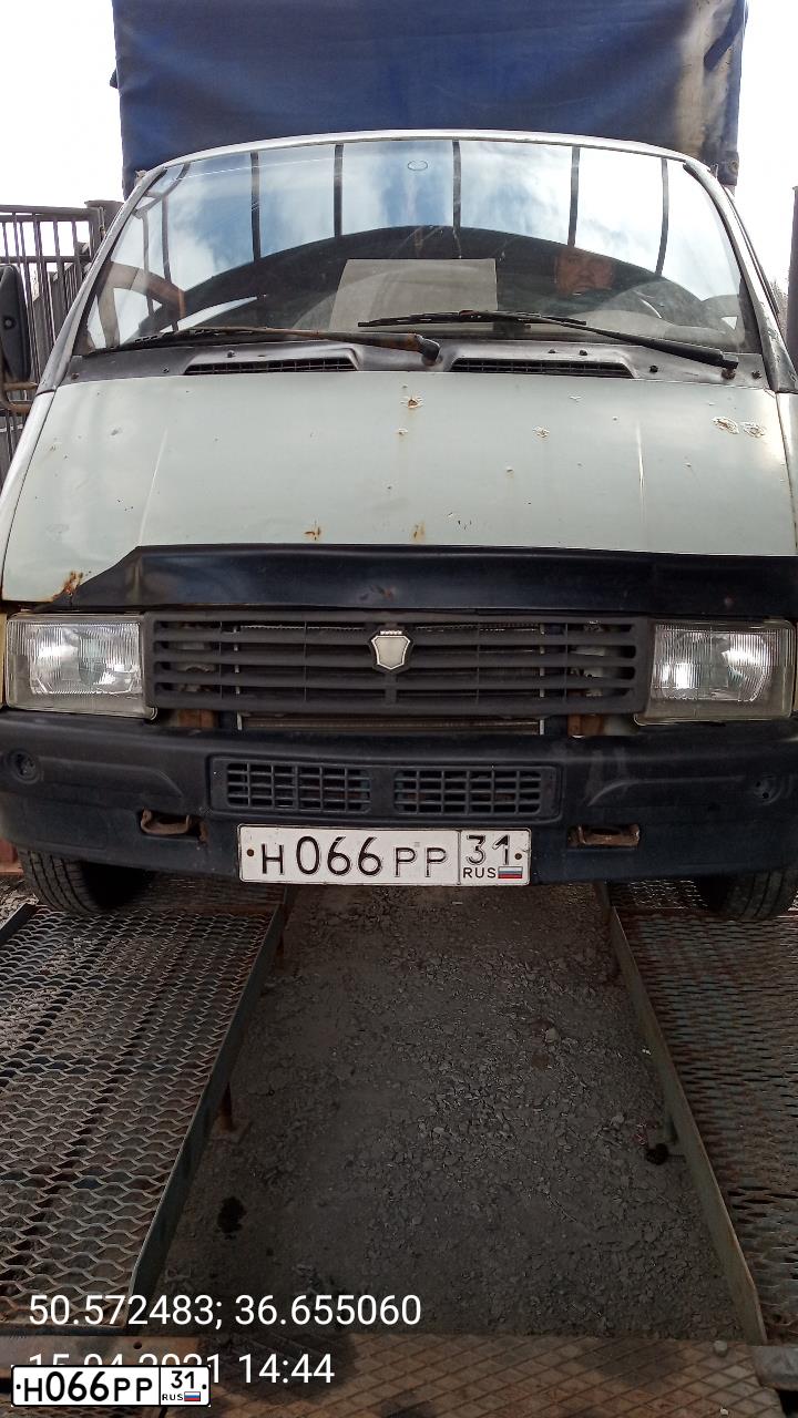 Фото автомобиля GAZ 3302 EL, 2000 — госномер Н066РР31. Цвет: СВ. СЕРЫЙ
