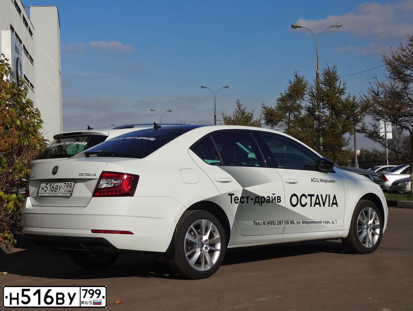Фото автомобиля SKODA OCTAVIA, 2018 — госномер Н516ВУ799. Цвет: БЕЛЫЙ