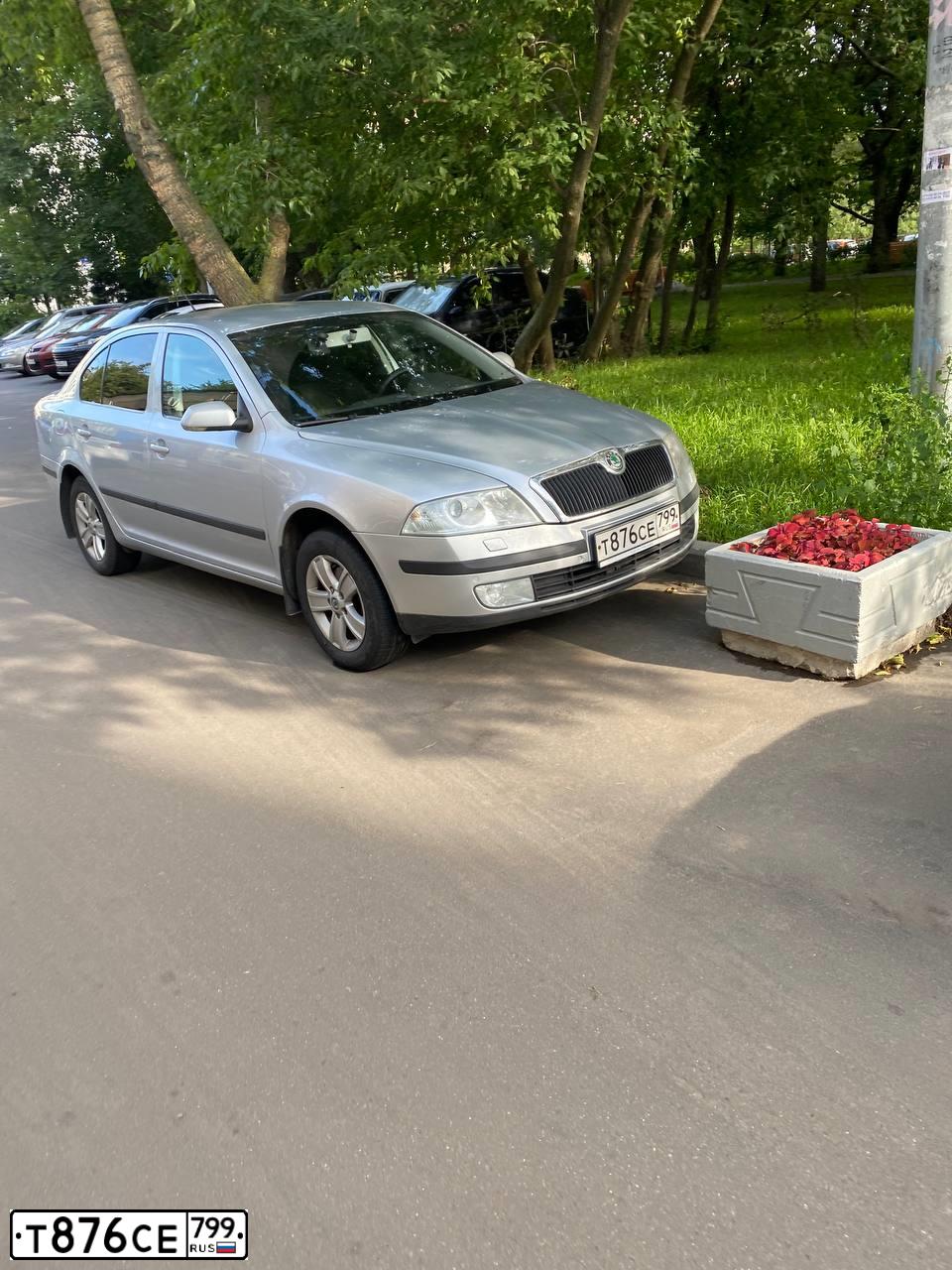 Фото автомобиля SKODA OCTAVIA, 2008 — госномер Т876СЕ799. Цвет: СЕРЕБРИСТЫЙ
