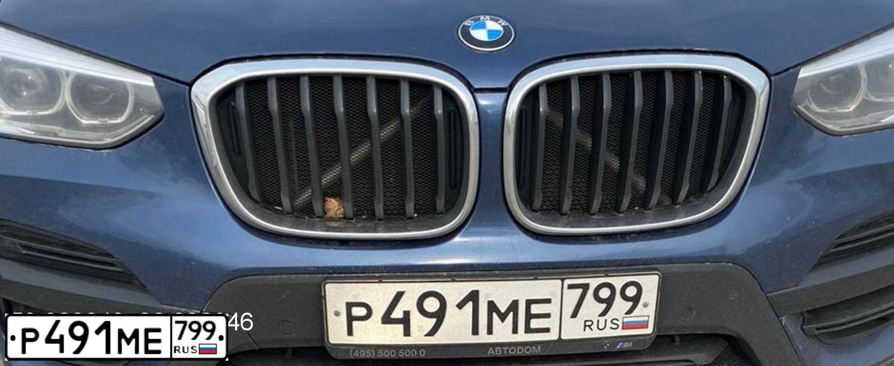 Фото автомобиля BMW X3, 2018 — госномер Р491МЕ799. Цвет: СИНИЙ