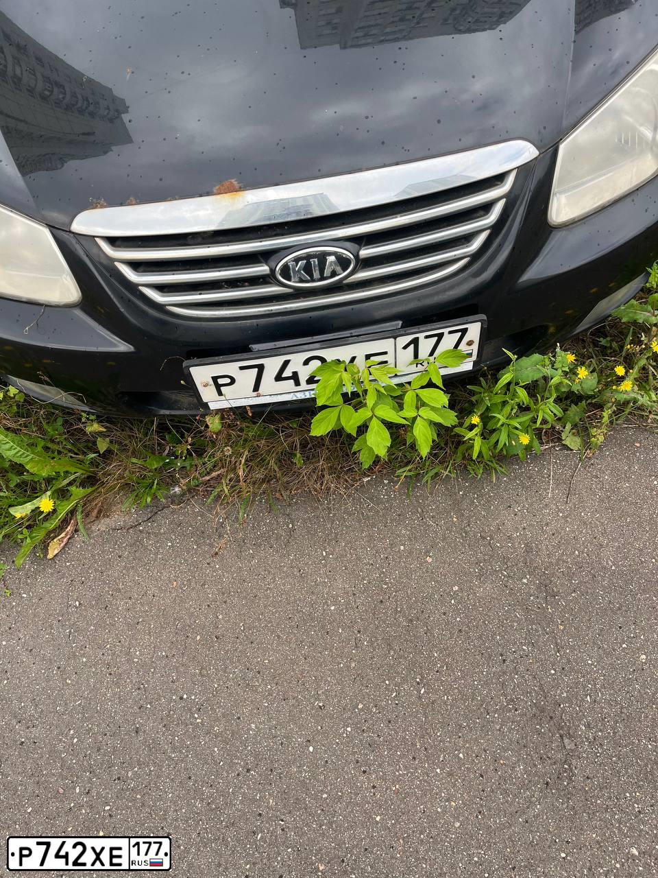 Фото автомобиля FORD FOCUS, 2007 — госномер Т349КМ59. Цвет: Серебристый