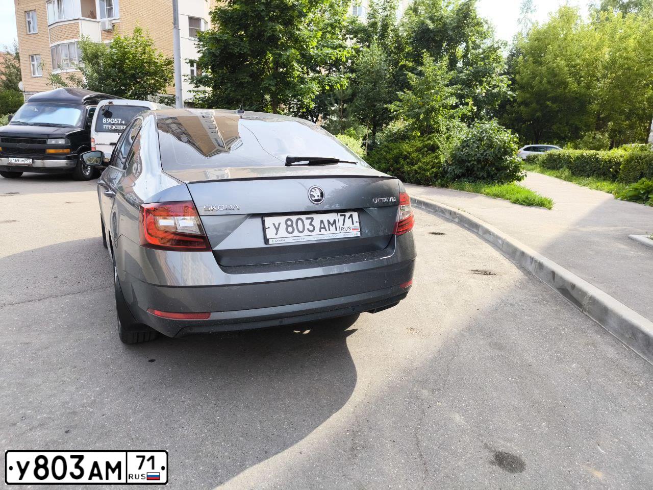 Фото автомобиля SKODA OCTAVIA, 2020 — госномер Т092КЕ181. Цвет: СЕРЫЙ