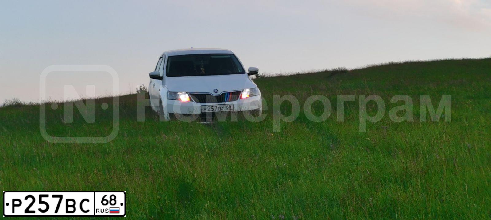 Фото автомобиля SKODA RAPID, 2015 — госномер Р257ВС68. Цвет: Белый
