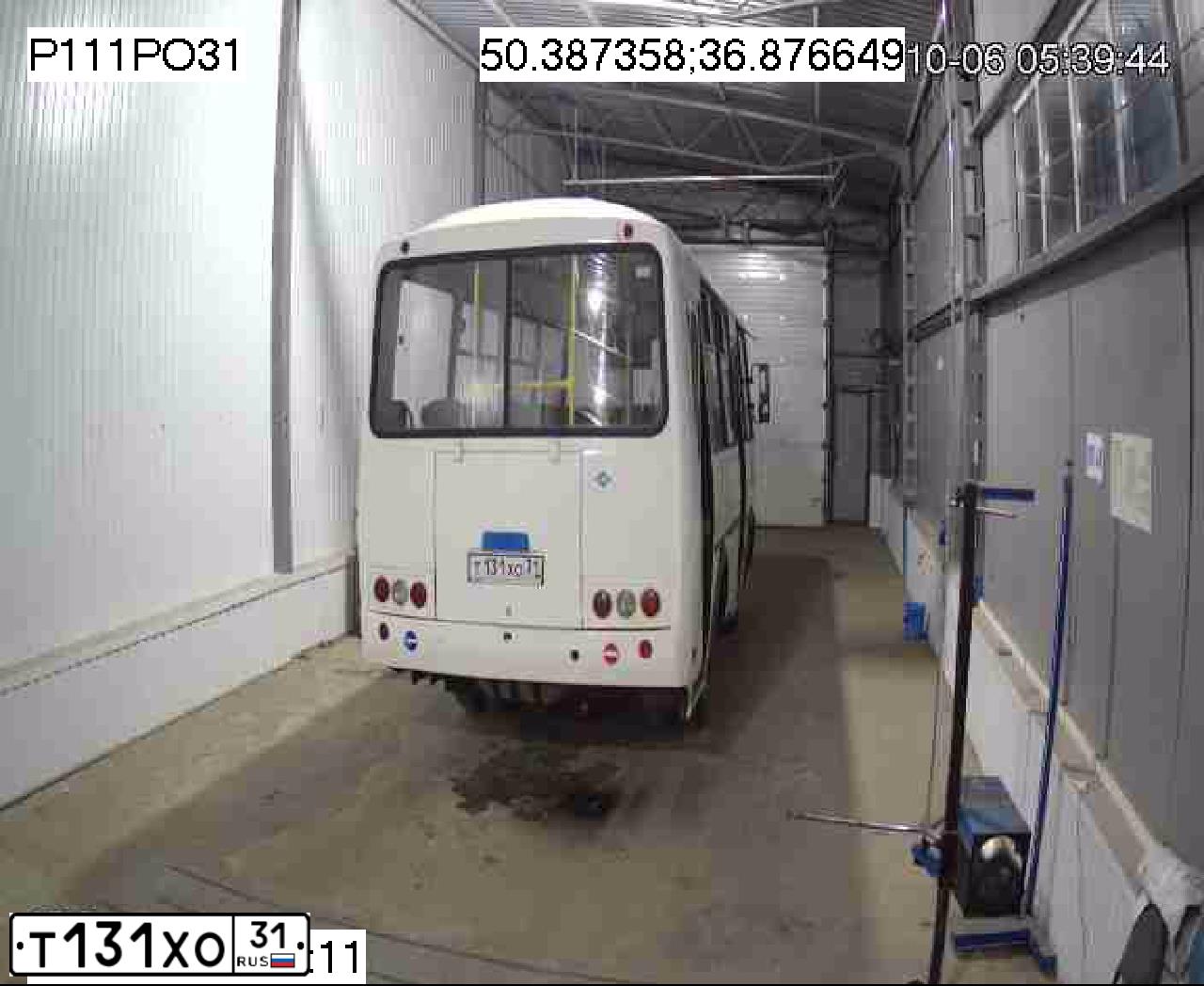 Фото автомобиля PAZ 3205, 2018 — госномер Т131ХО31. Цвет: Белый