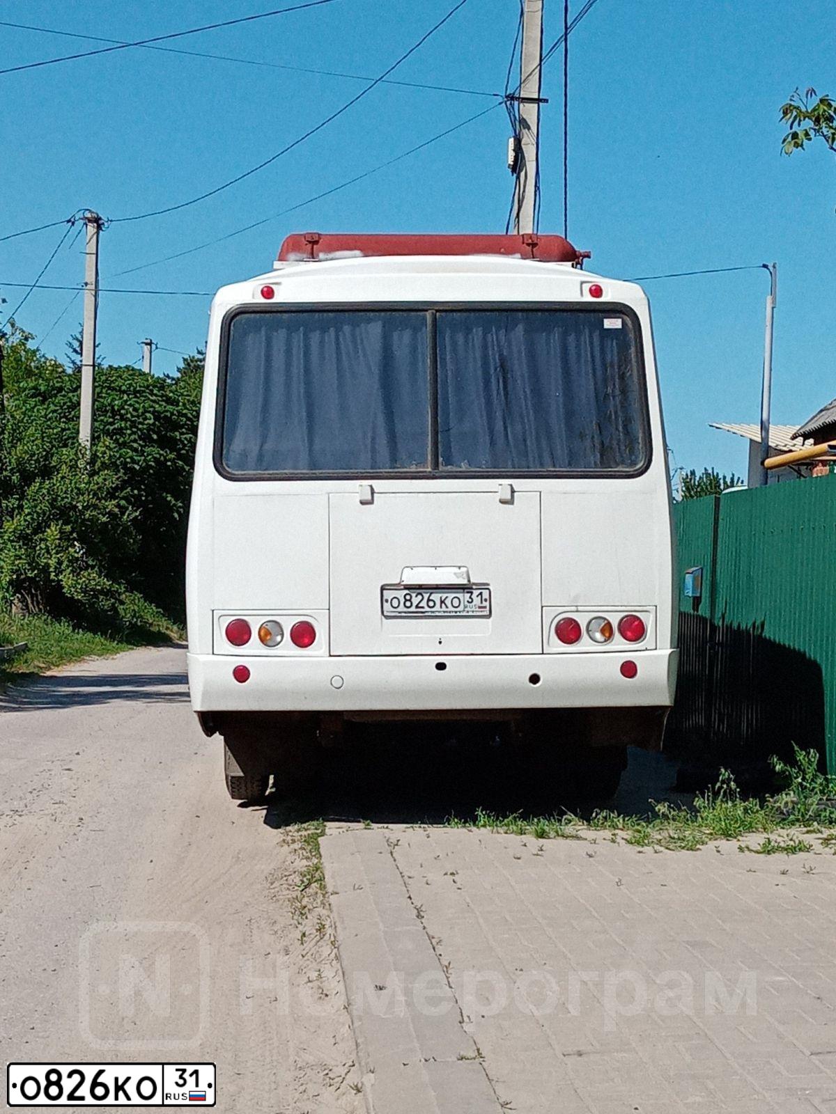 Фото автомобиля PAZ 3205, 2016 — госномер О826КО31. Цвет: Белый