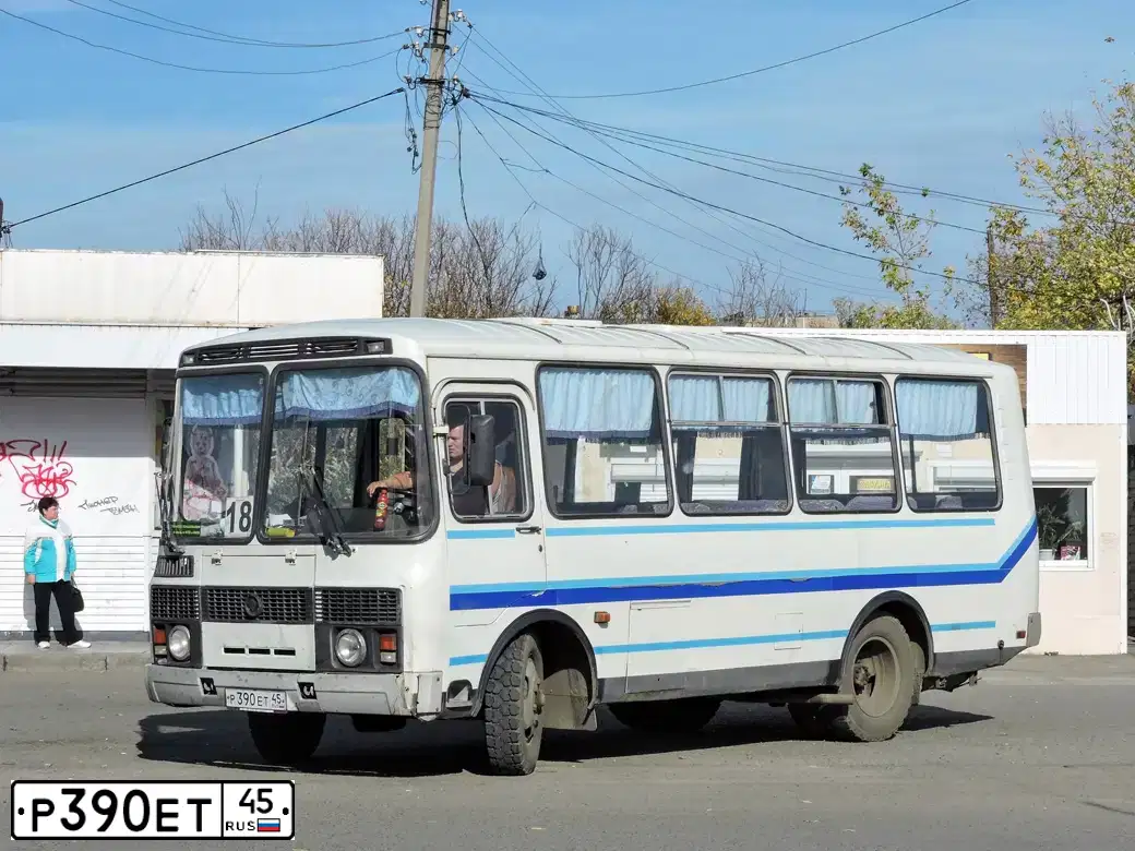 Фото автомобиля PAZ 3205, 2006 — госномер Р390ЕТ45. Цвет: Бело-Синий