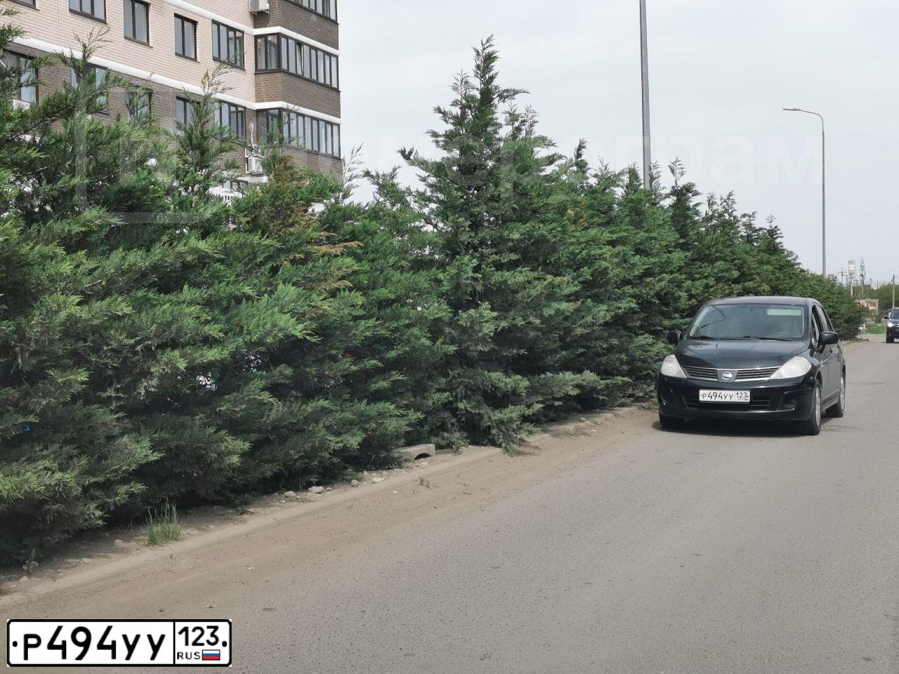 Фото автомобиля NISSAN TIIDA, 2008 — госномер Р787РУ77. Цвет: ЧЕРНЫЙ