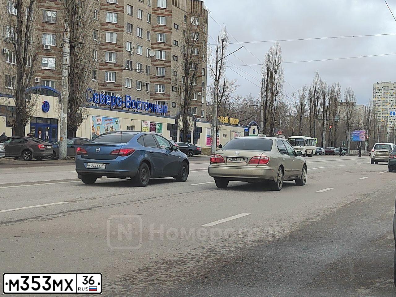 Фото автомобиля NISSAN MAXIMA, 2005 — госномер С513ЕХ136. Цвет: ЗОЛОТИСТЫЙ