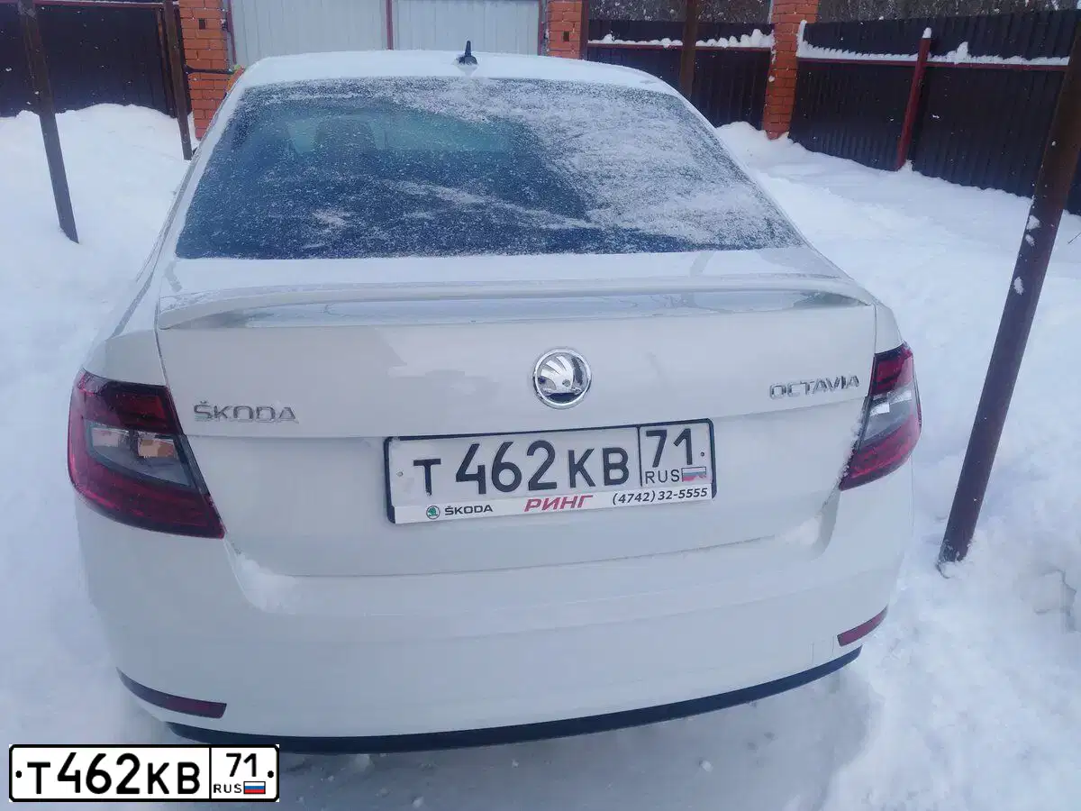 Фото автомобиля SKODA OCTAVIA, 2018 — госномер Т261КР31. Цвет: Белый