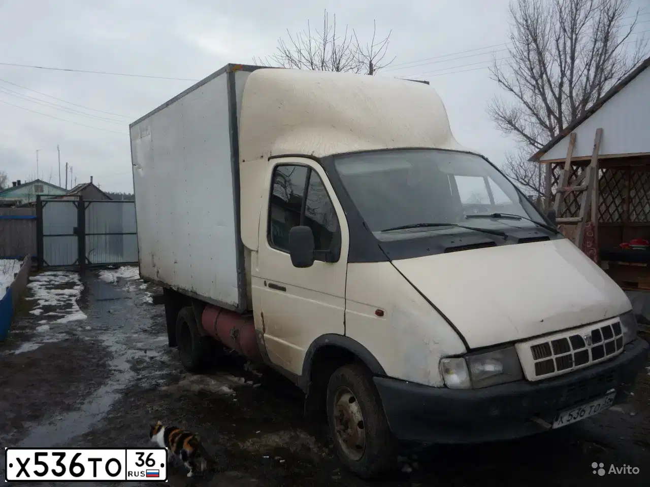 Фото автомобиля GAZ 3302 EL, 2002 — госномер Х536ТО36. Цвет: Белый