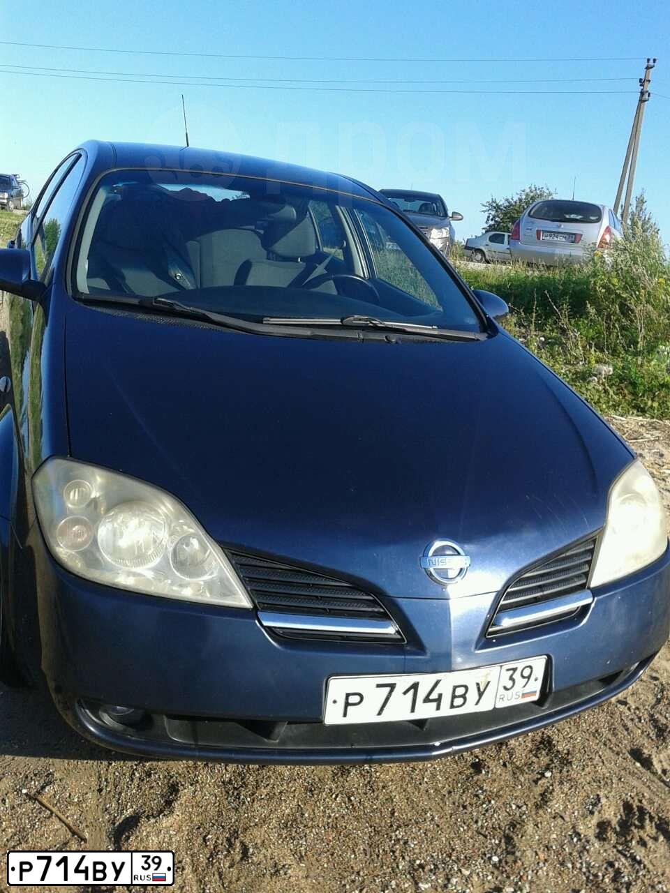 Фото автомобиля NISSAN PRIMERA, 2006 — госномер У800АЕ161. Цвет: ТЕМНО-СИНИЙ