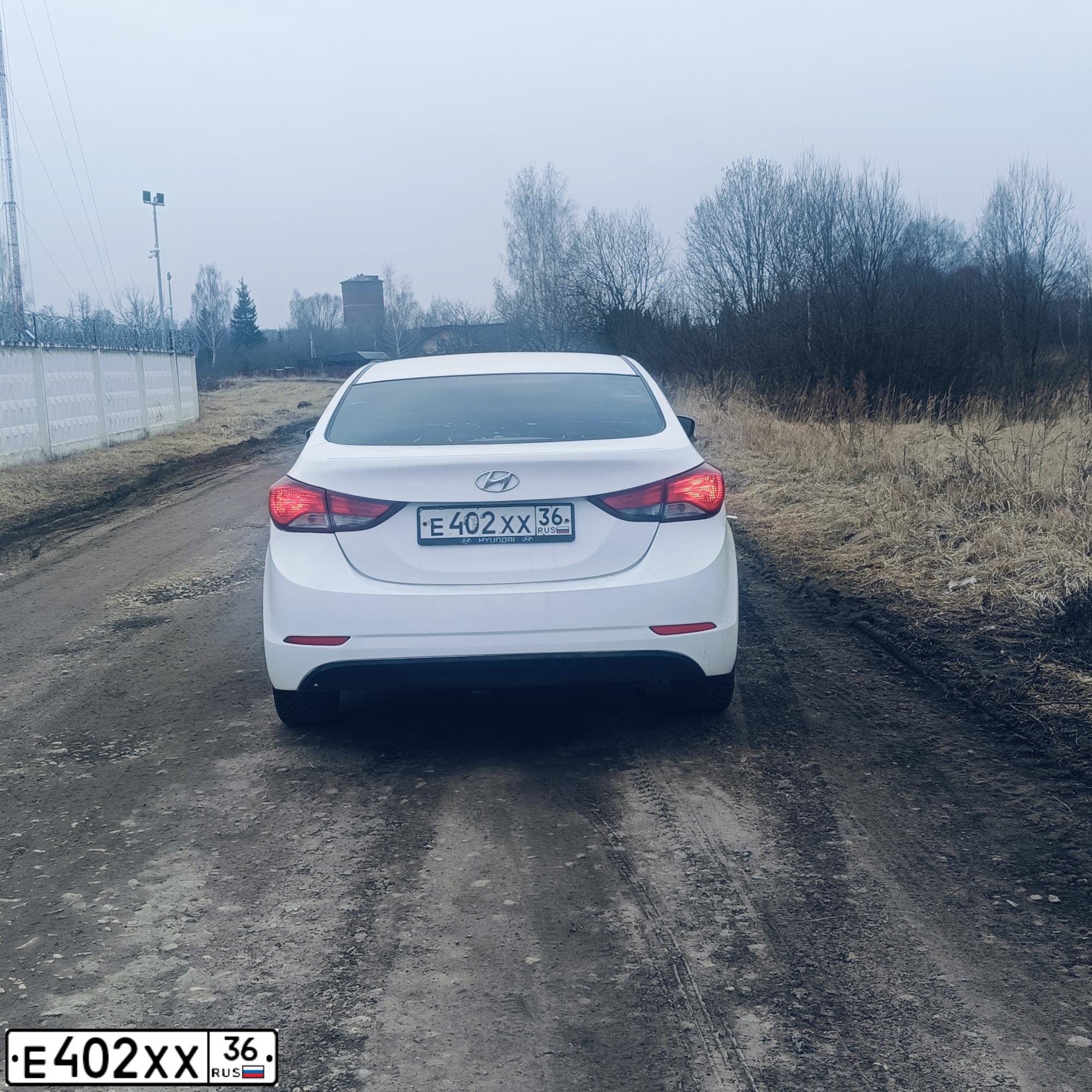 Фото автомобиля HYUNDAI ELANTRA, 2014 — госномер Е402ХХ36. Цвет: Белый