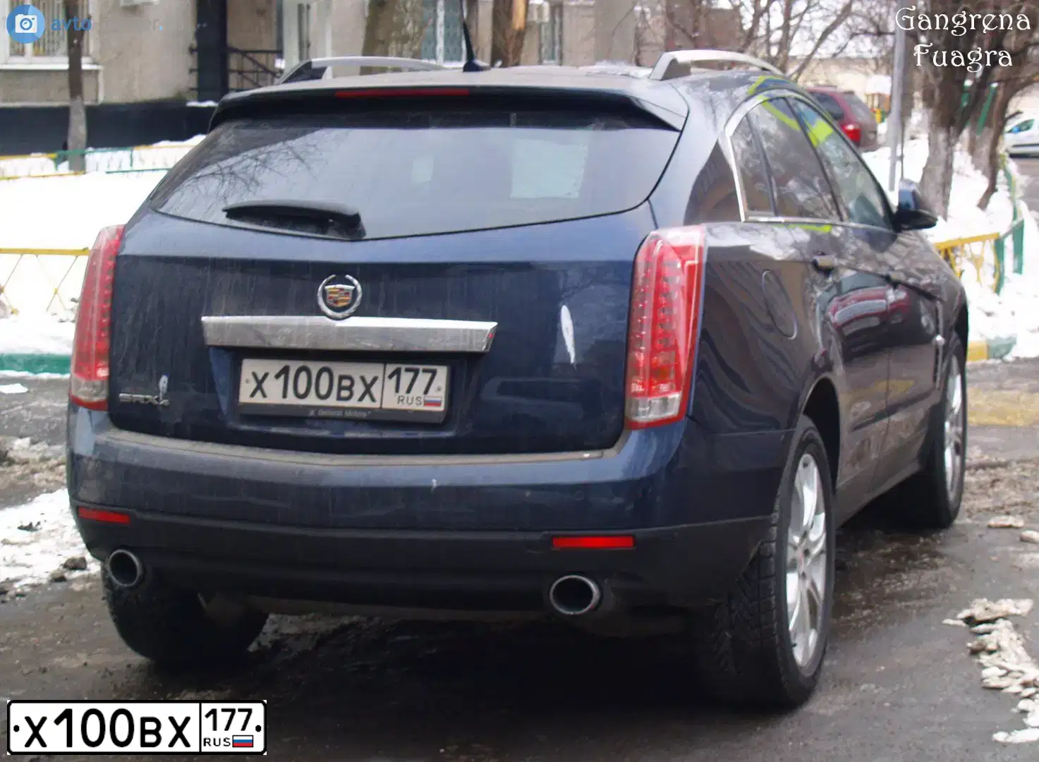 Фото автомобиля CADILLAC SRX, 2011 — госномер Н353МВ65. Цвет: Металлик Темно-синий