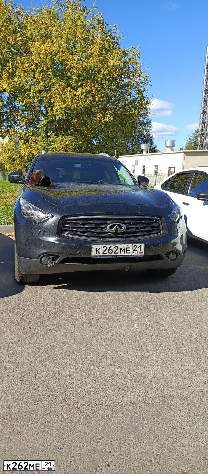 Фото автомобиля INFINITI I QX70 FX, 2009 — госномер К262МЕ21. Цвет: ЧЕРНЫЙ