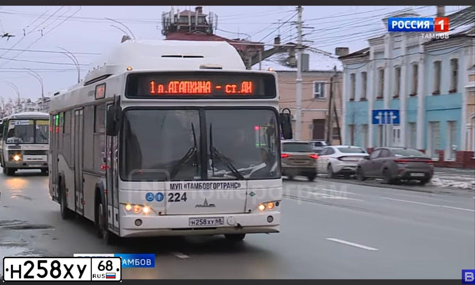 Фото автомобиля MAZ 103, 2016. Цвет: Белый