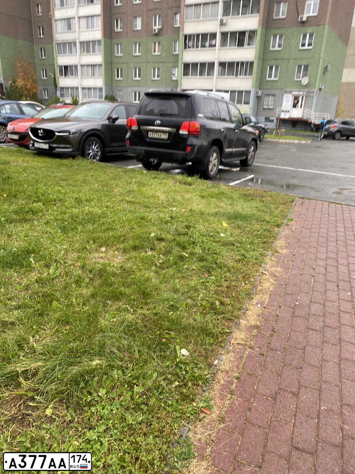 Фото автомобиля TOYOTA LANDCRUISER 200, 2014 — госномер А377АА174