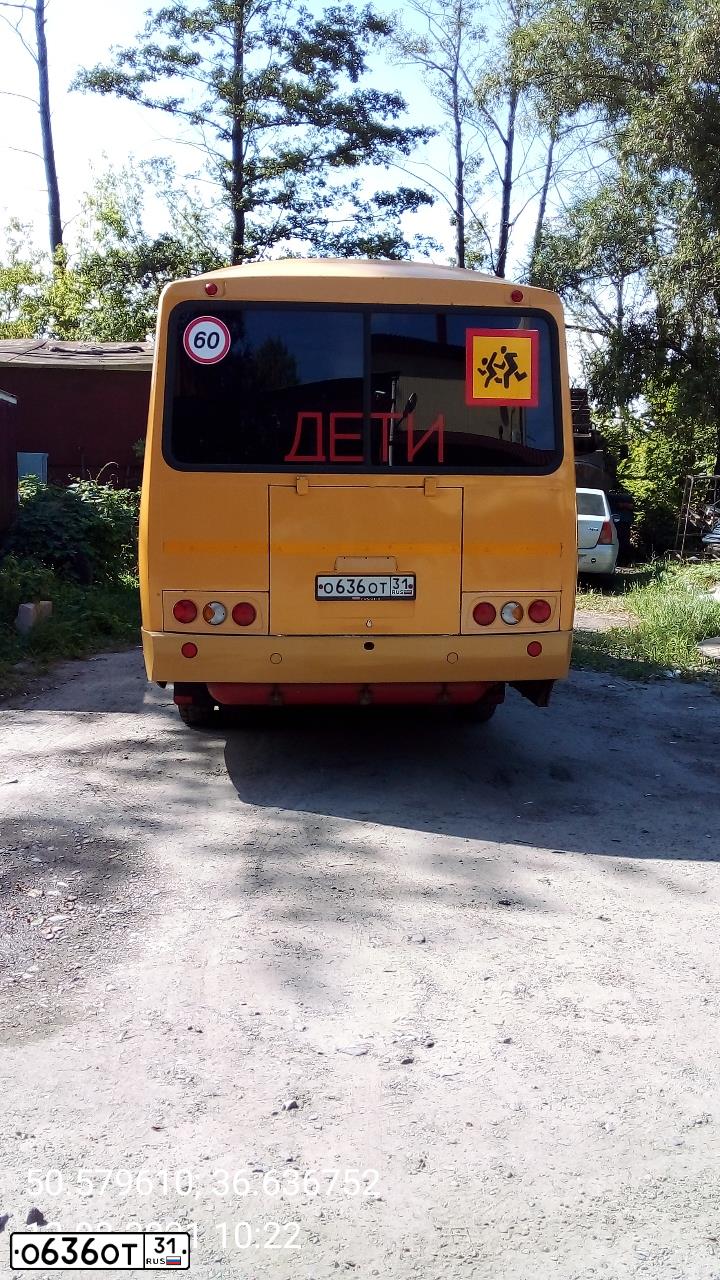 Фото автомобиля PAZ 3205, 2018 — госномер О636ОТ31. Цвет: ЖЁЛТЫЙ