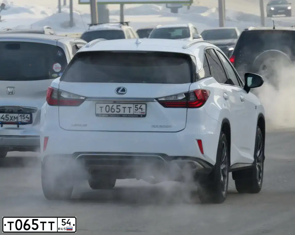 Фото автомобиля LEXUS RX, 2017 — госномер Т065ТТ54. Цвет: БЕЛЫЙ