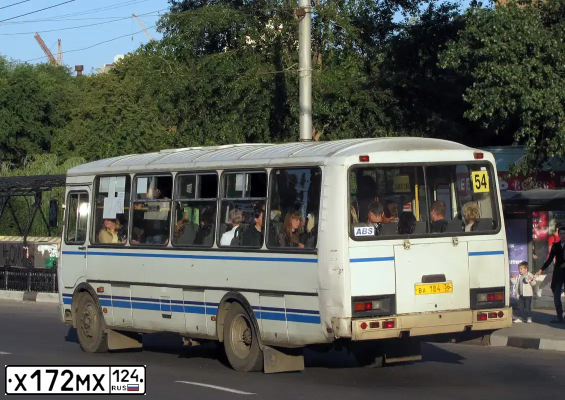 Фото автомобиля PAZ 4234, 2007 — госномер Х172МХ124. Цвет: Белый
