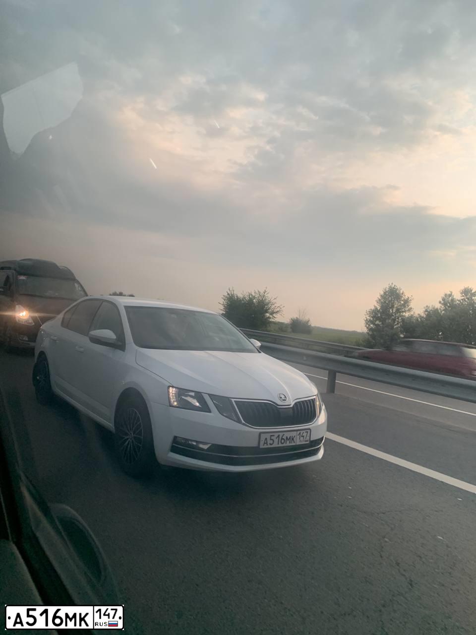 Фото автомобиля SKODA OCTAVIA, 2019 — госномер А516МК147. Цвет: Белый