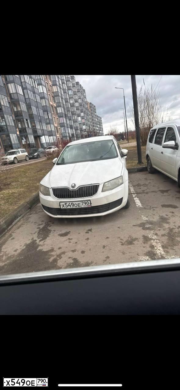 Фото автомобиля SKODA OCTAVIA, 2014 — госномер Х549ОЕ790. Цвет: Белый