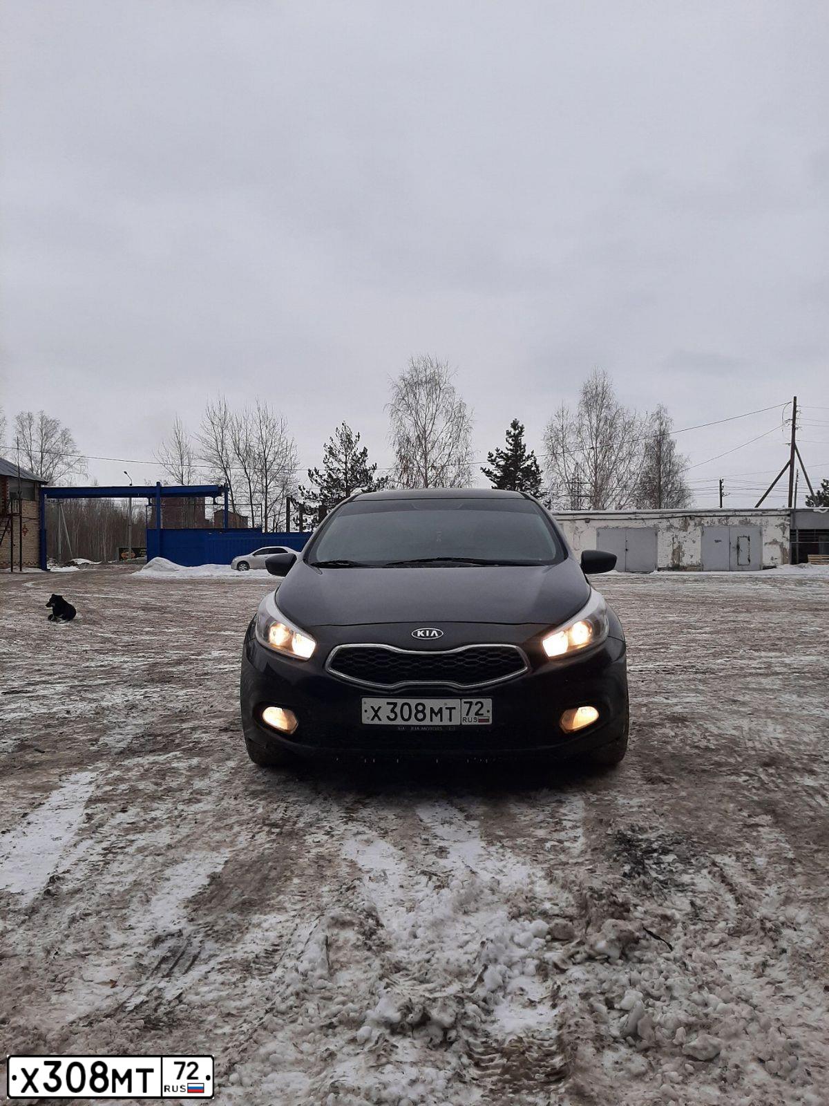 Фото автомобиля KIA CEE'D, 2013 — госномер Х308МТ72. Цвет: ЧЕРНЫЙ