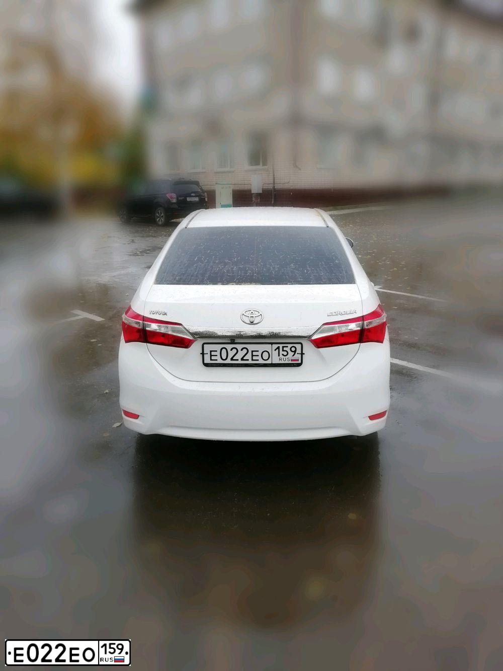 Фото автомобиля TOYOTA COROLLA, 2013 — госномер М986ХК159. Цвет: Белый