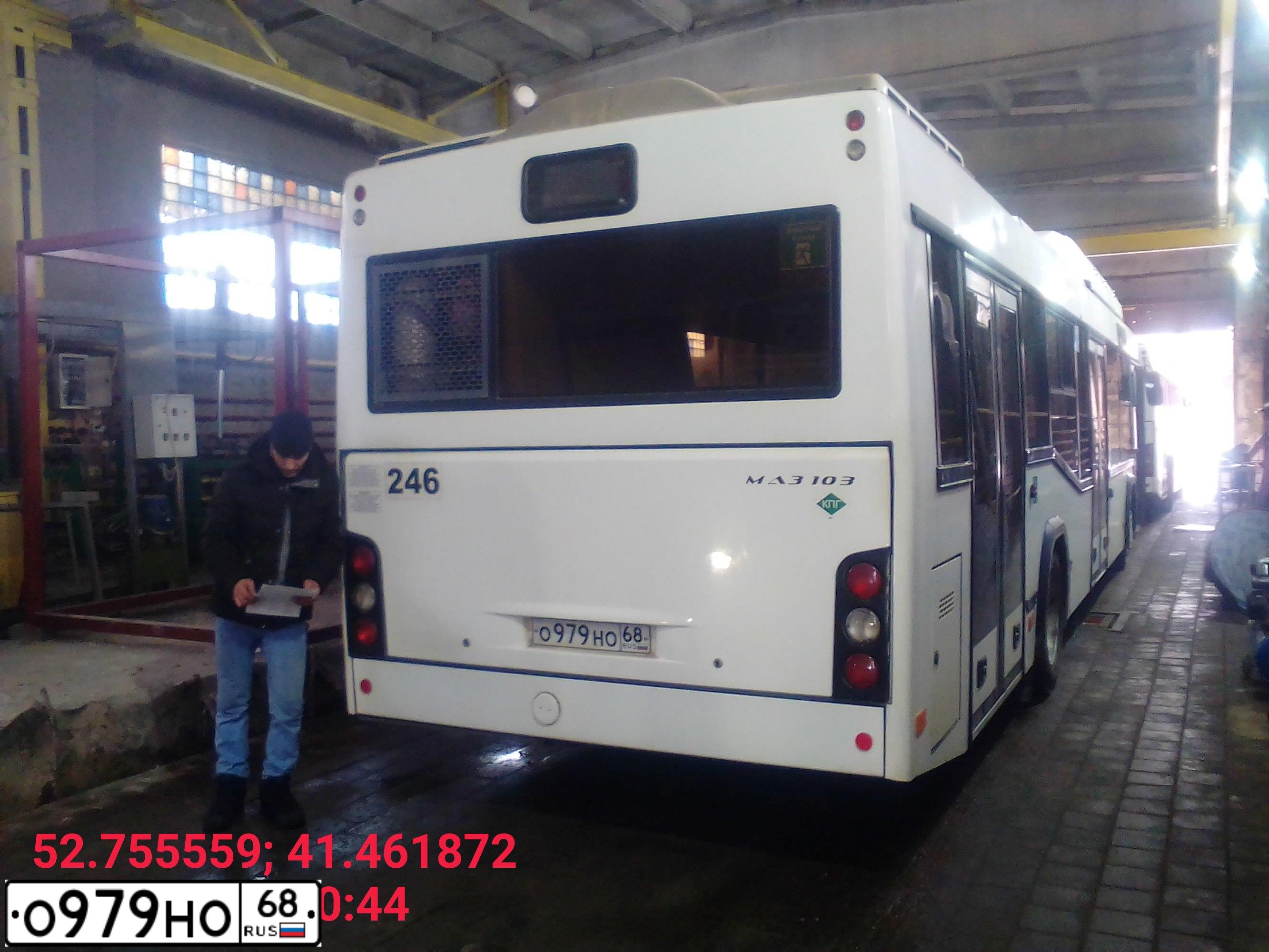 Фото автомобиля МАЗ 103965, 2019 — госномер С619ЕМ68