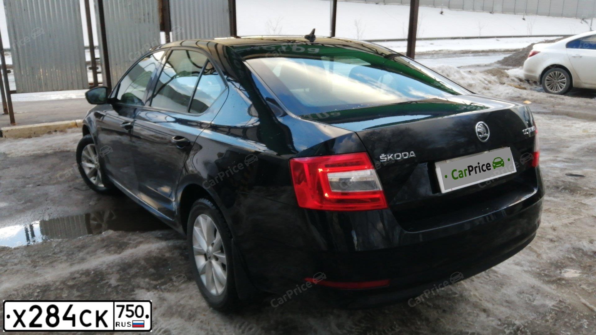 Фото автомобиля SKODA OCTAVIA, 2018 — госномер Н883СР124. Цвет: ЧЕРНЫЙ