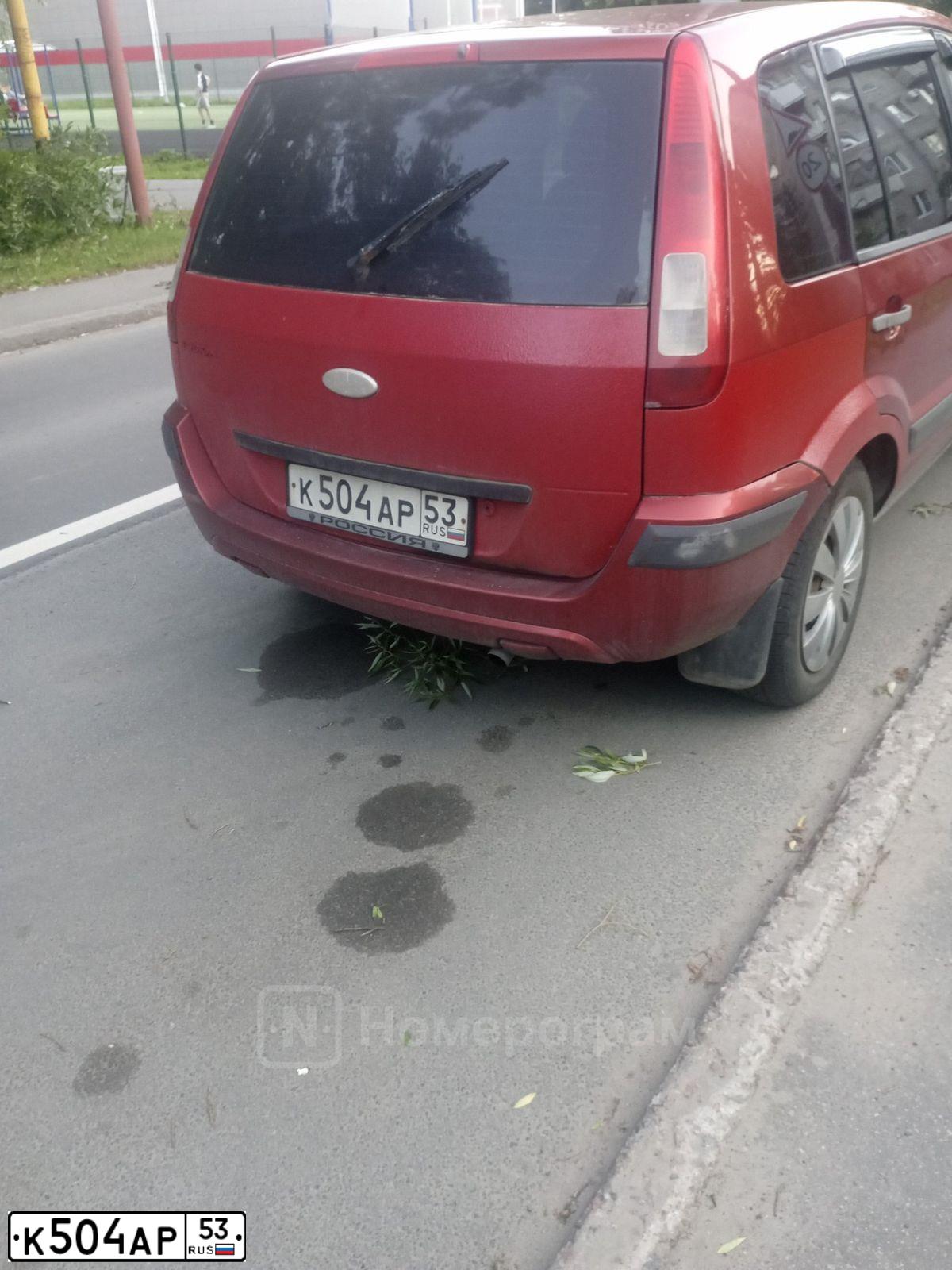 Фото автомобиля SKODA FABIA, 2004 — госномер Р555ОО47. Цвет: СЕРЕБРИСТЫЙ