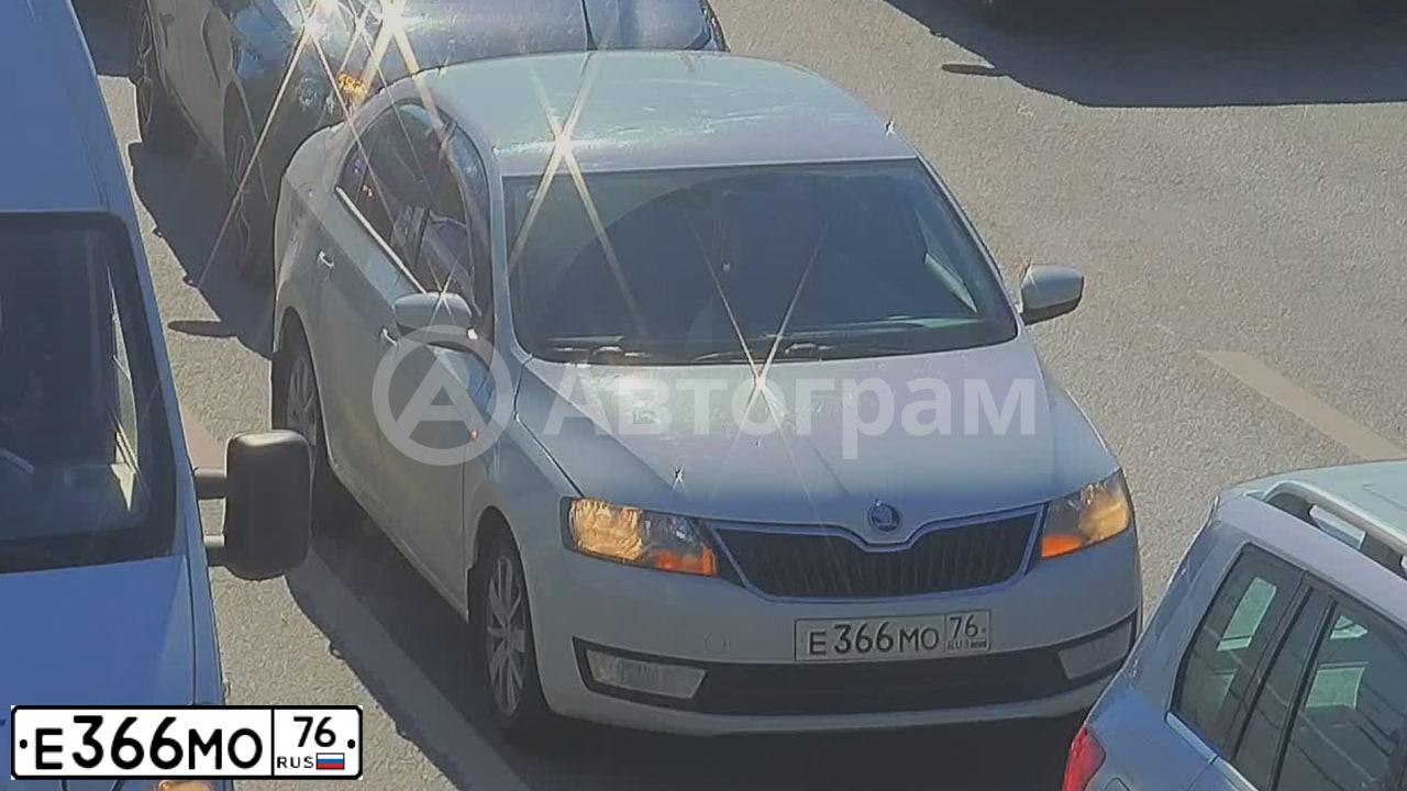 Фото автомобиля SKODA RAPID, 2014 — госномер Е366МО76. Цвет: Белый