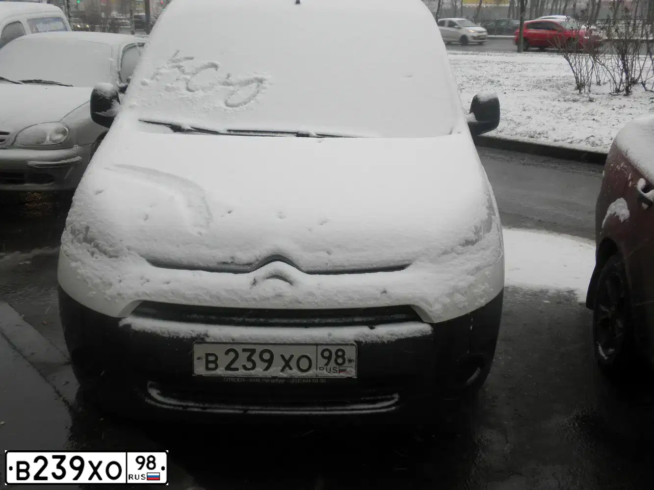 Фото автомобиля CITROEN BERLINGO, 2013 — госномер В239ХО98. Цвет: Белый
