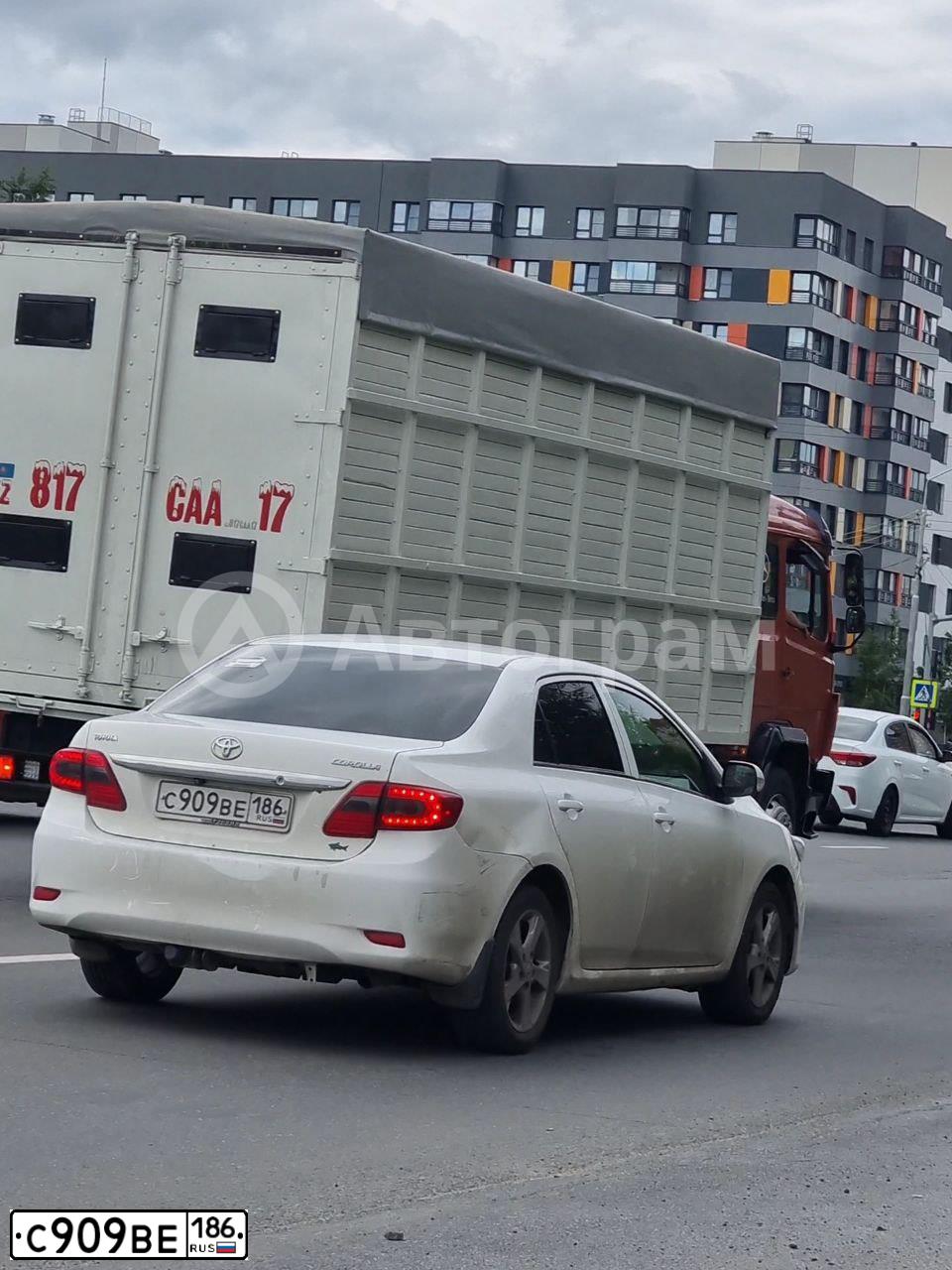 Фото автомобиля TOYOTA COROLLA, 2012 — госномер С909ВЕ186. Цвет: Белый