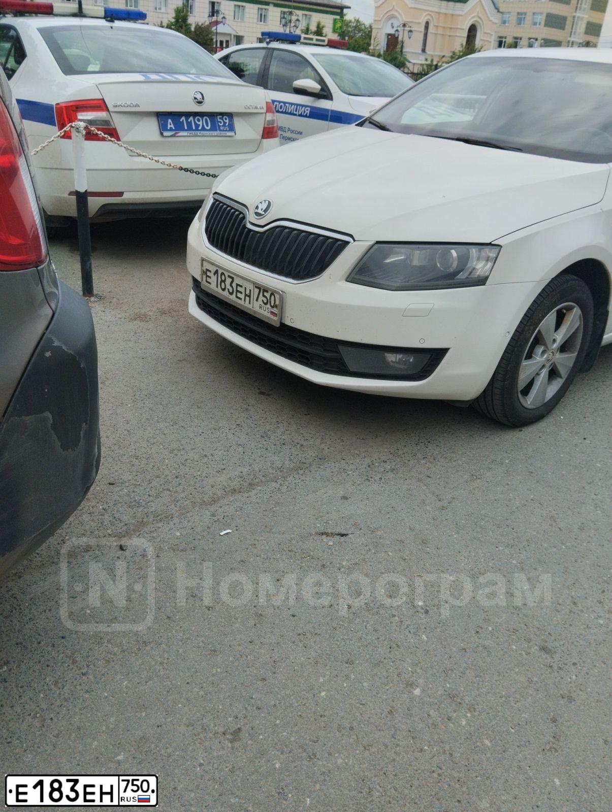 Фото автомобиля SKODA OCTAVIA, 2014 — госномер С477ВК159. Цвет: Белый