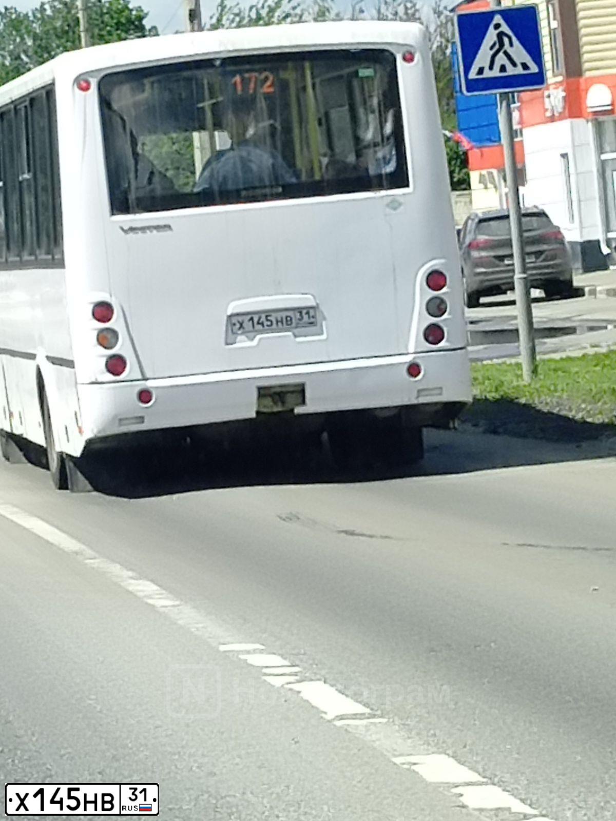 Фото автомобиля PAZ 3204, 2018 — госномер Х145НВ31. Цвет: Белый