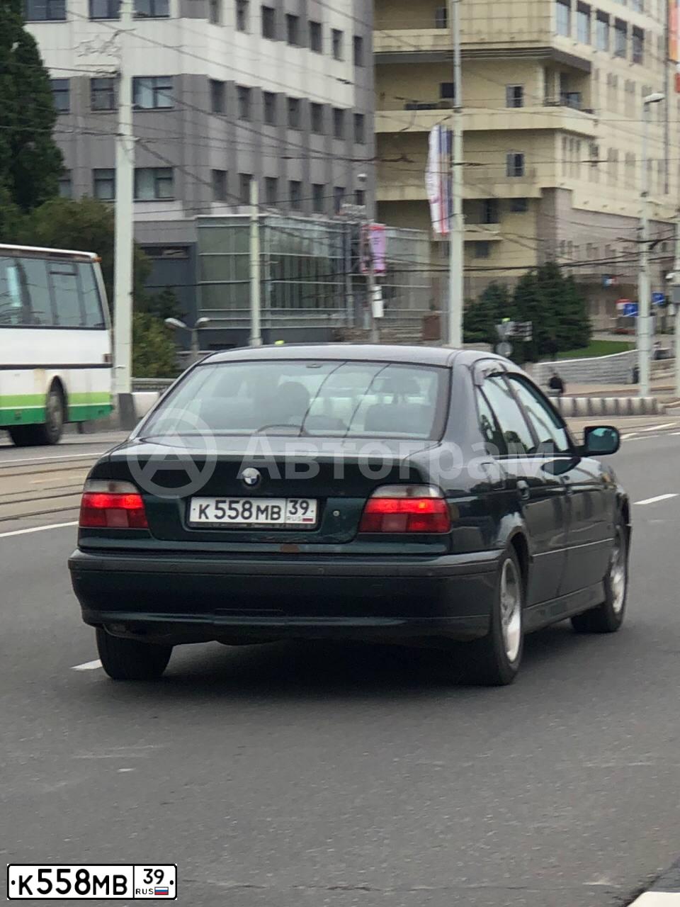Фото автомобиля BMW SERIE 5, 1998 — госномер К558МВ39. Цвет: ТЕМНО-ЗЕЛЕНЫЙ
