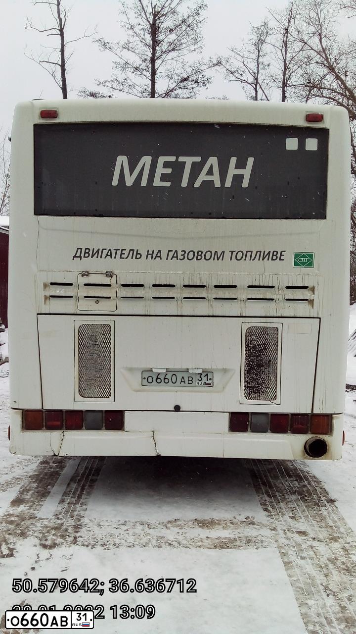 Фото автомобиля NEFAZ 5299 /KAMAZ 5297 4X2/, 2012 — госномер О660АВ31. Цвет: БЕЛЫЙ