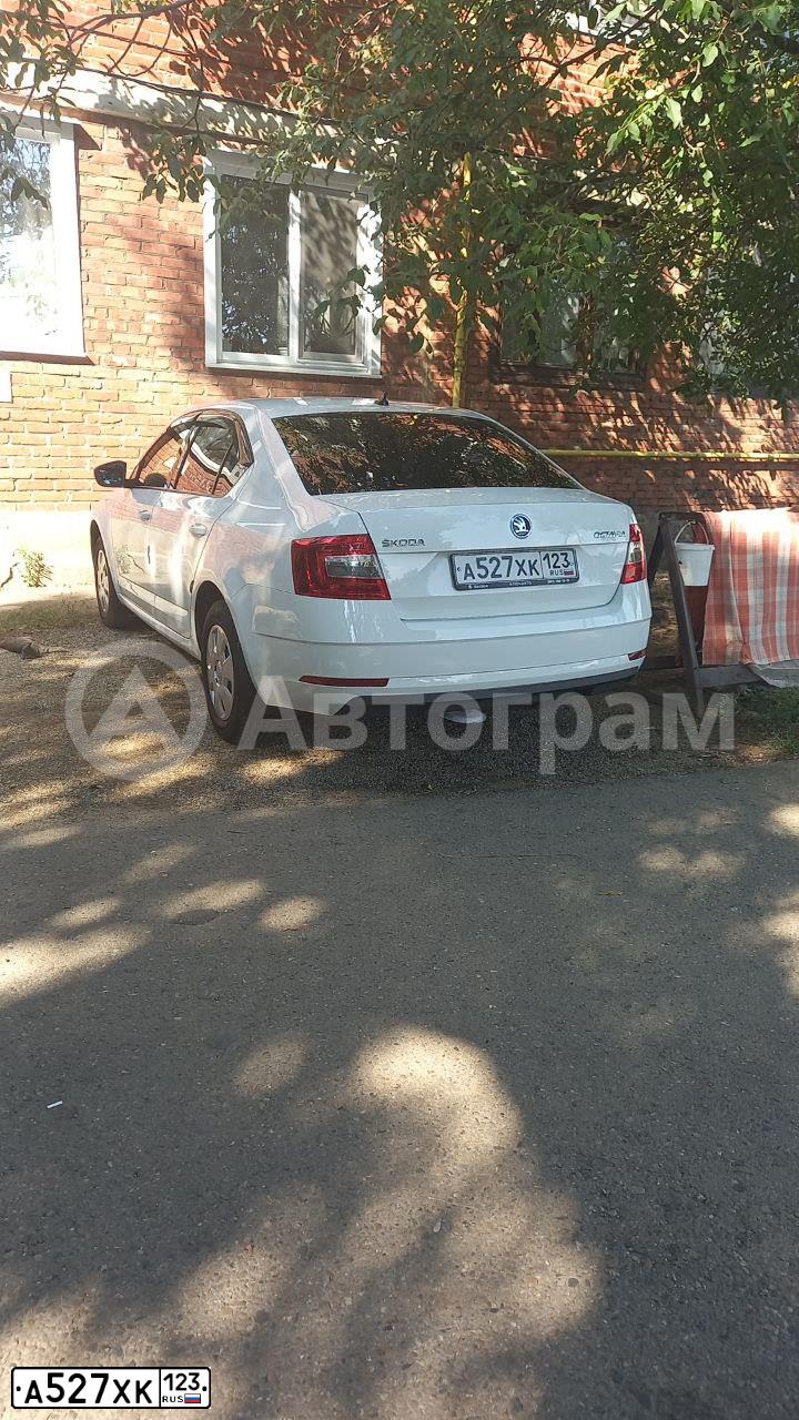 Фото автомобиля SKODA OCTAVIA, 2019 — госномер О026КО126. Цвет: Белый