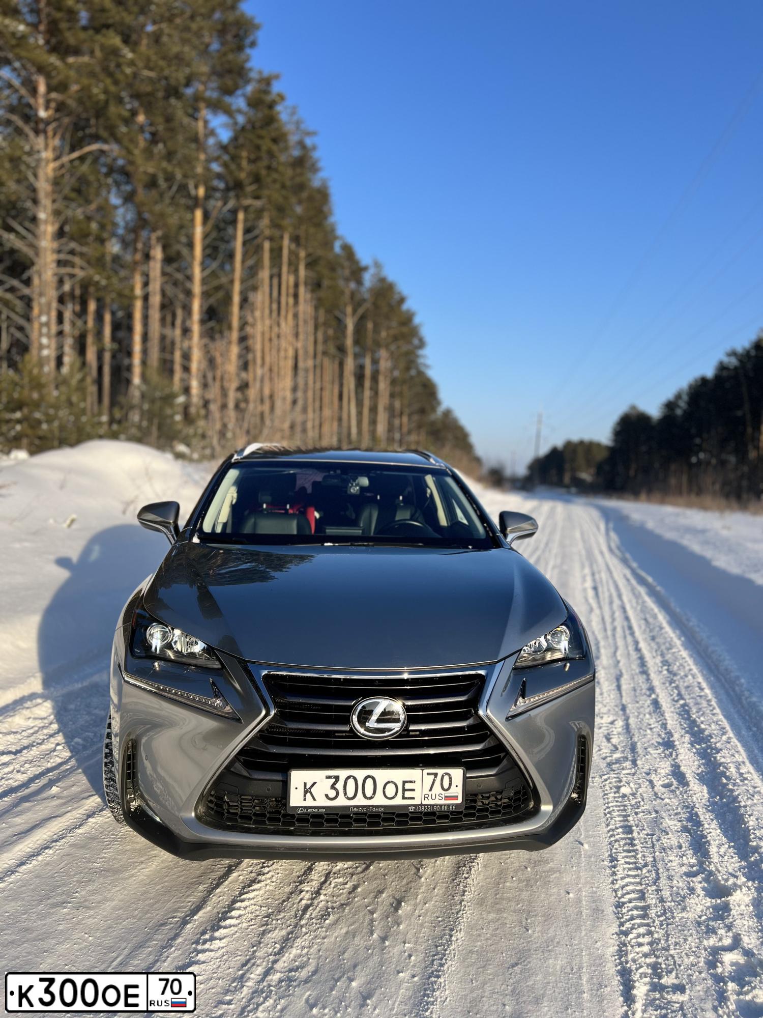 Фото автомобиля LEXUS NX, 2017 — госномер К300ОЕ70. Цвет: СВЕТЛО-СЕРЫЙ