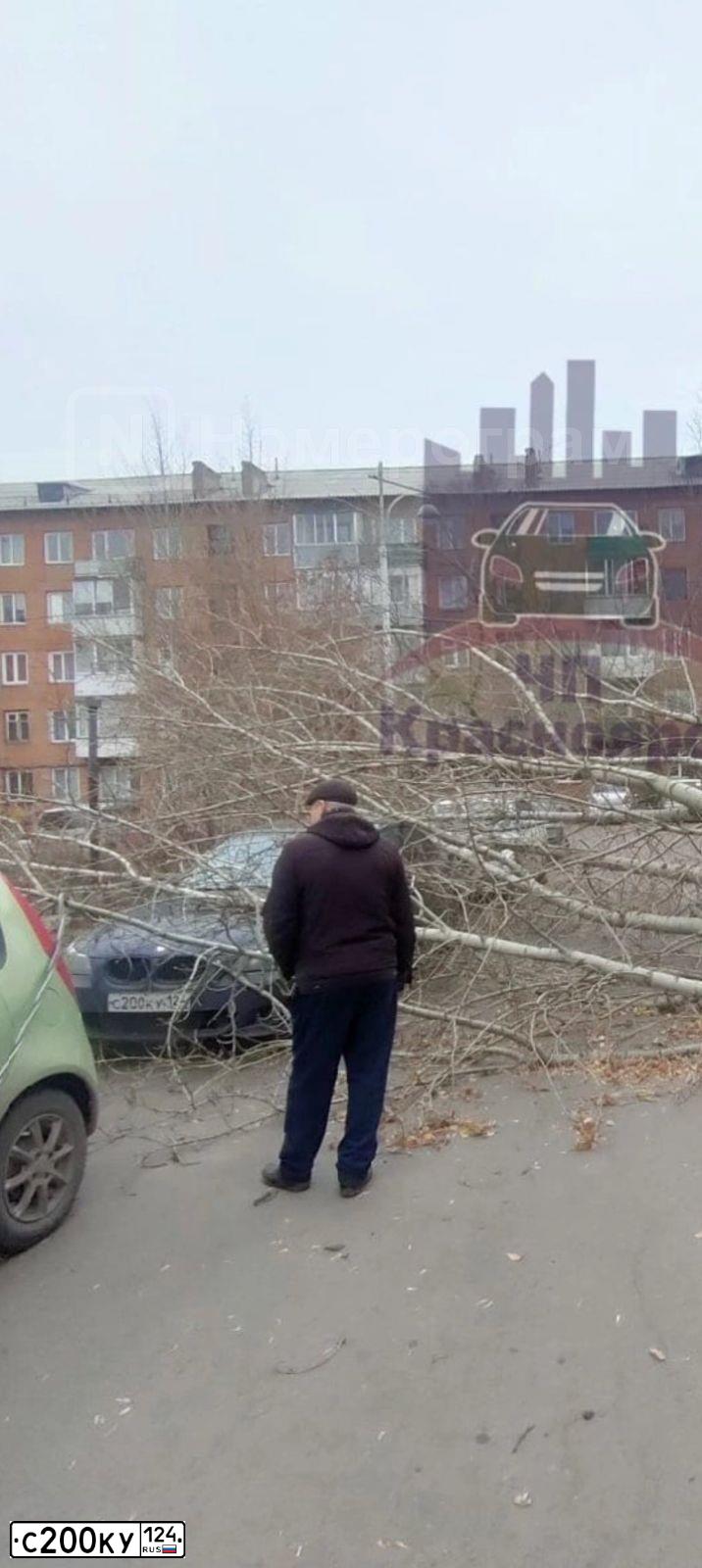 Фото автомобиля BMW SERIE 5, 2005 — госномер С200КУ124. Цвет: ЧЕРНЫЙ