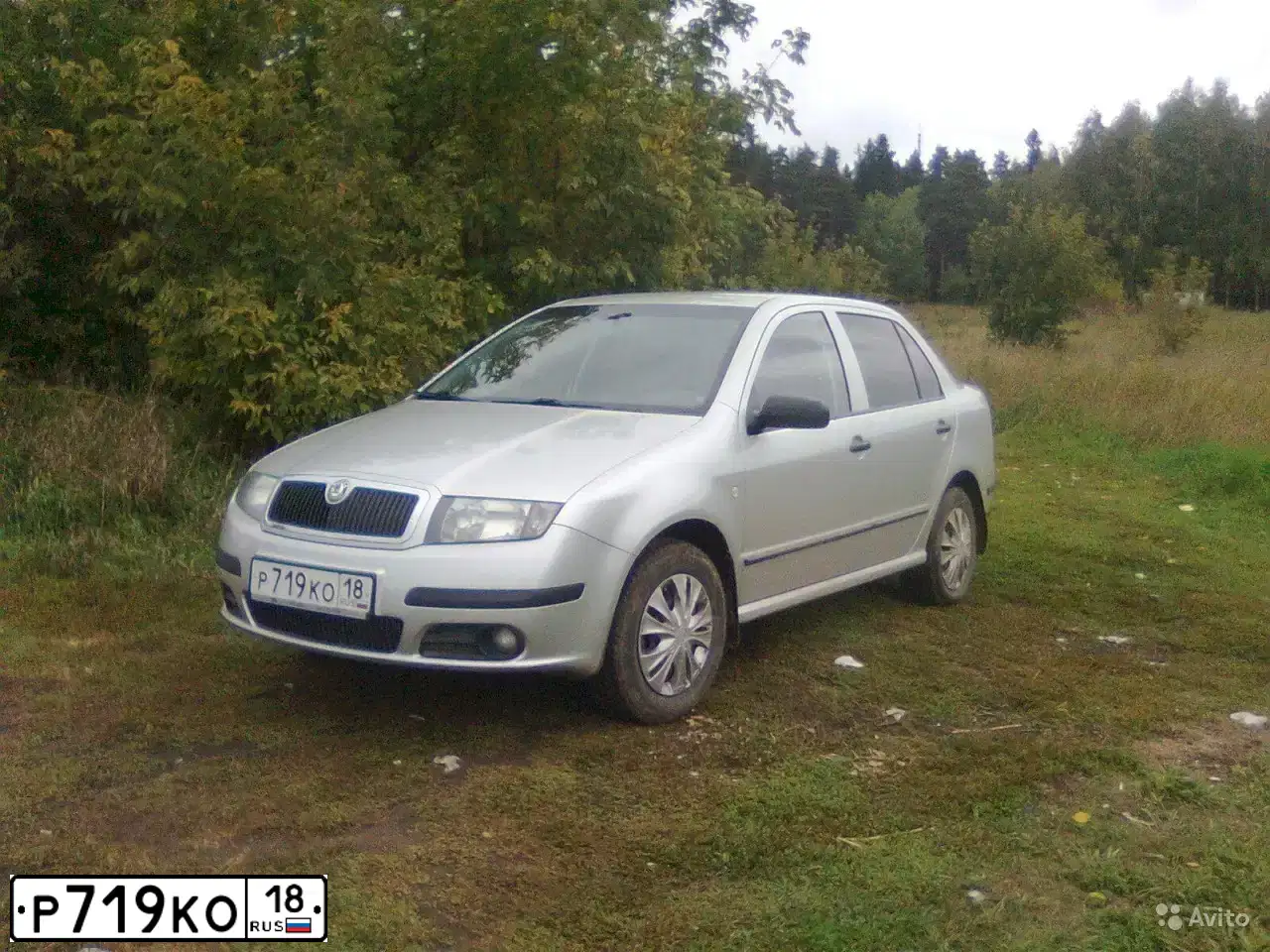 Фото автомобиля SKODA FABIA, 2007 — госномер Р719КО18. Цвет: СЕРЕБРИСТЫЙ