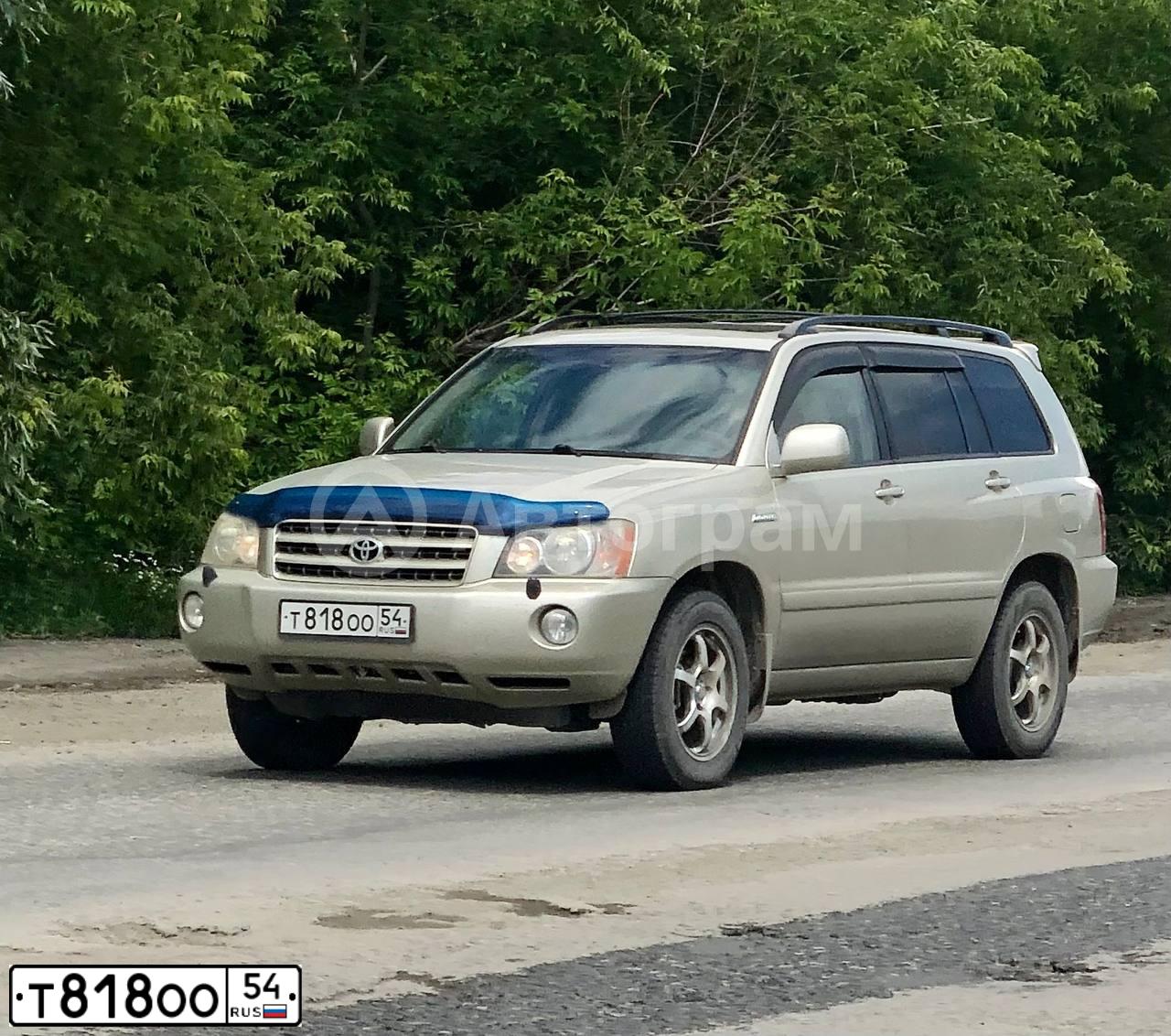 Фото автомобиля TOYOTA HIGHLANDER, 2002 — госномер Х088ОР116. Цвет: ЗОЛОТИСТЫЙ