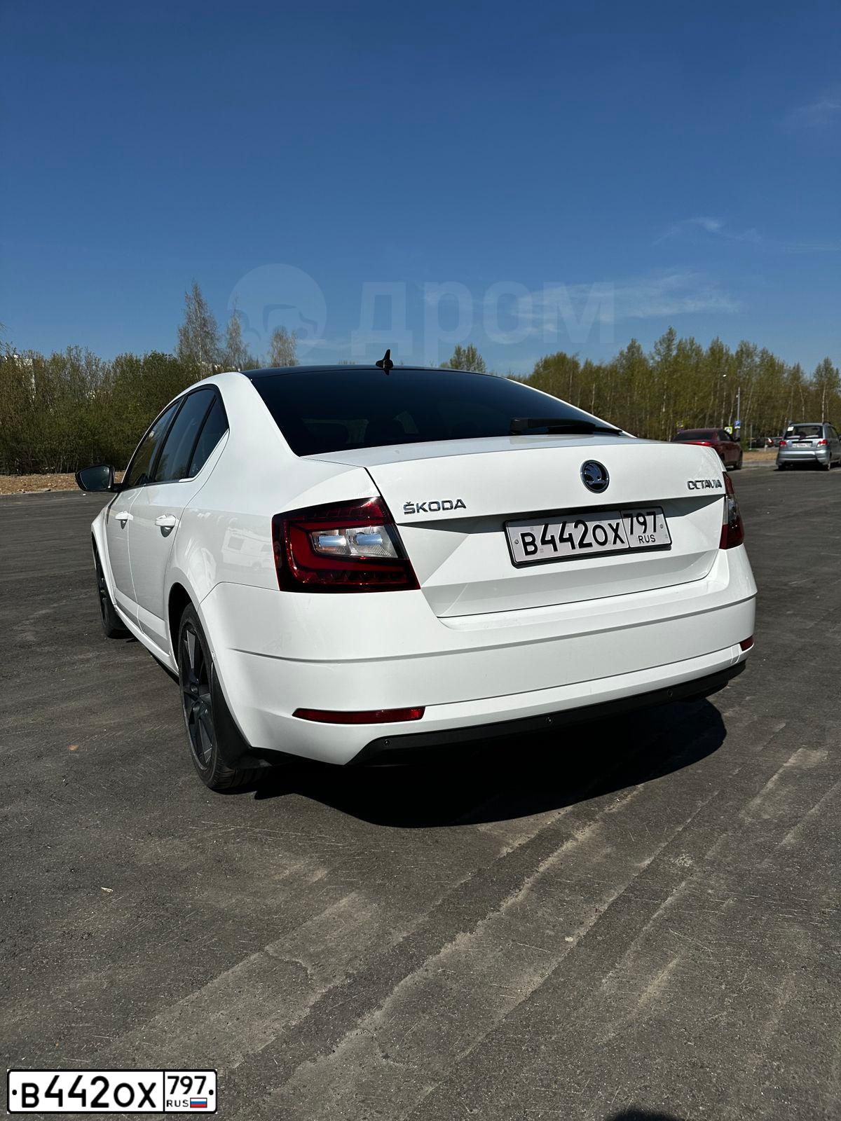 Фото автомобиля SKODA OCTAVIA, 2017 — госномер О793РУ31. Цвет: Белый