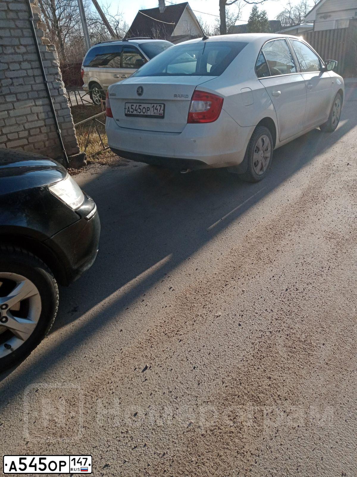 Фото автомобиля SKODA RAPID, 2017 — госномер А545ОР147