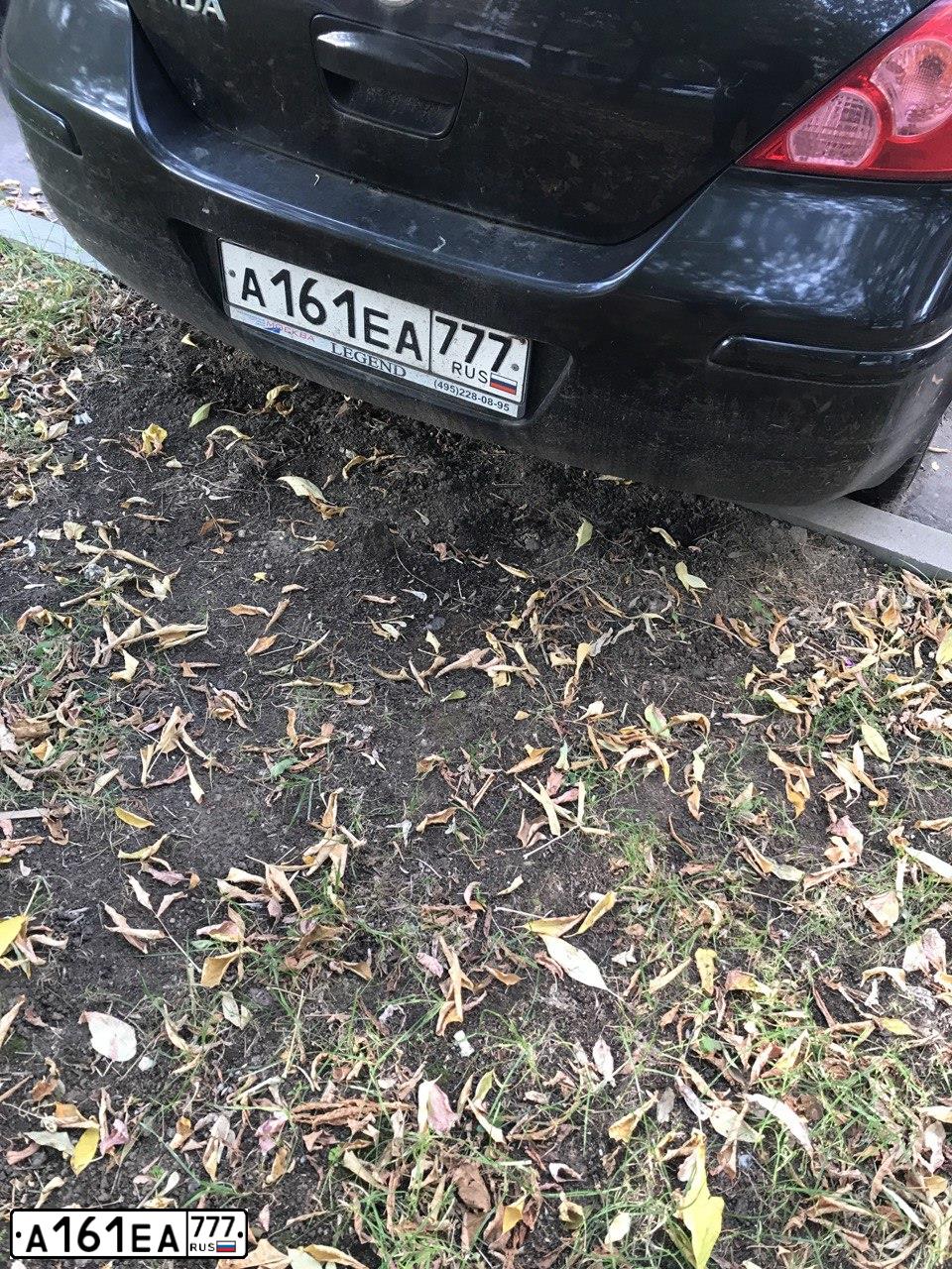 Фото автомобиля NISSAN TIIDA, 2013 — госномер С564НН799