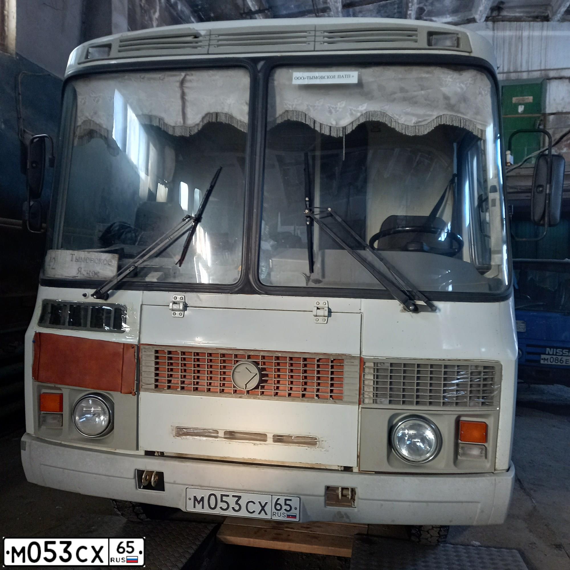 Фото автомобиля PAZ 3206, 2014 — госномер М053СХ65. Цвет: БЕЛЫЙ