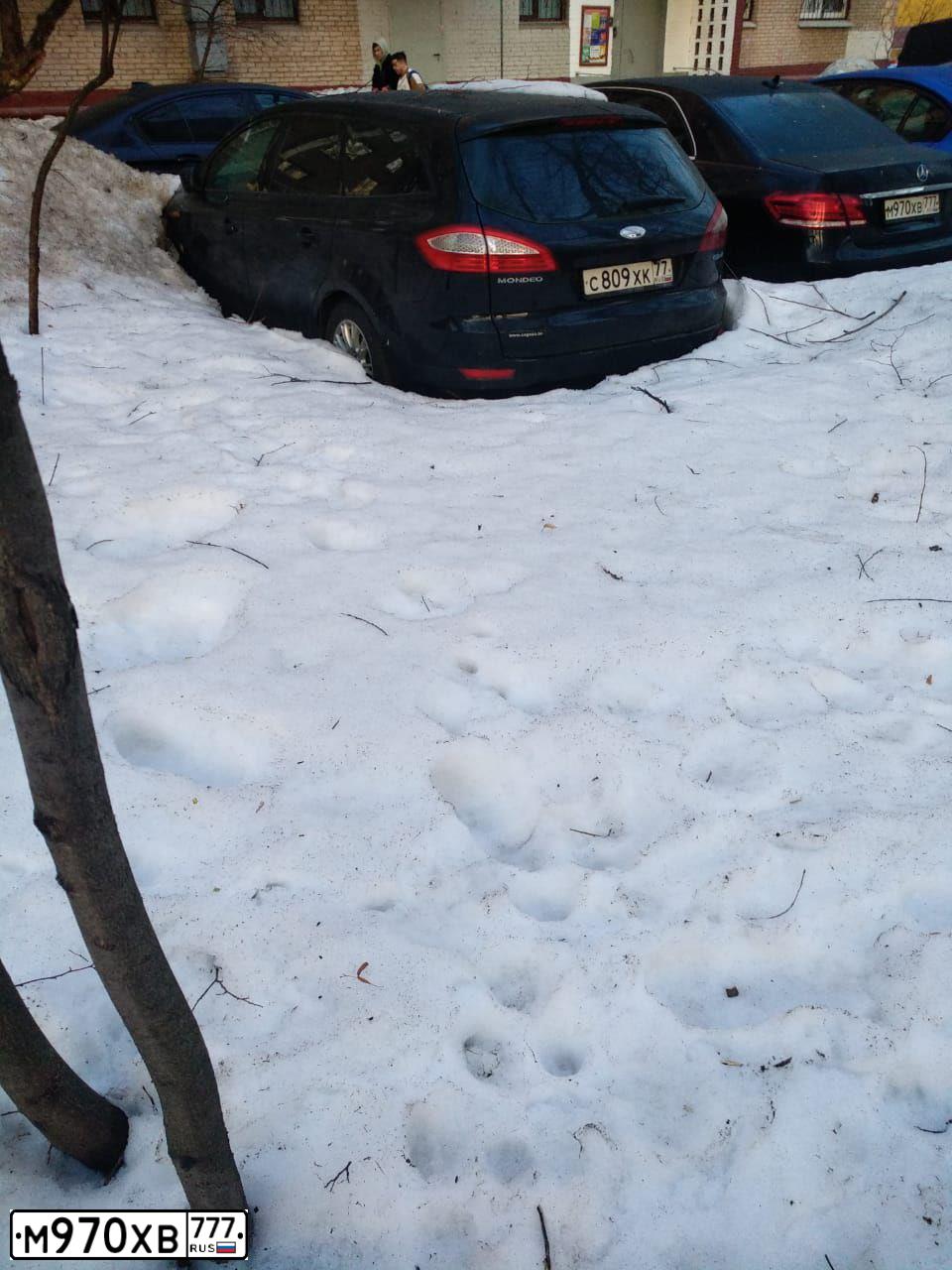 Фото автомобиля MERCEDES E-KLASSE, 2013 — госномер М970ХВ777. Цвет: ЧЕРНЫЙ
