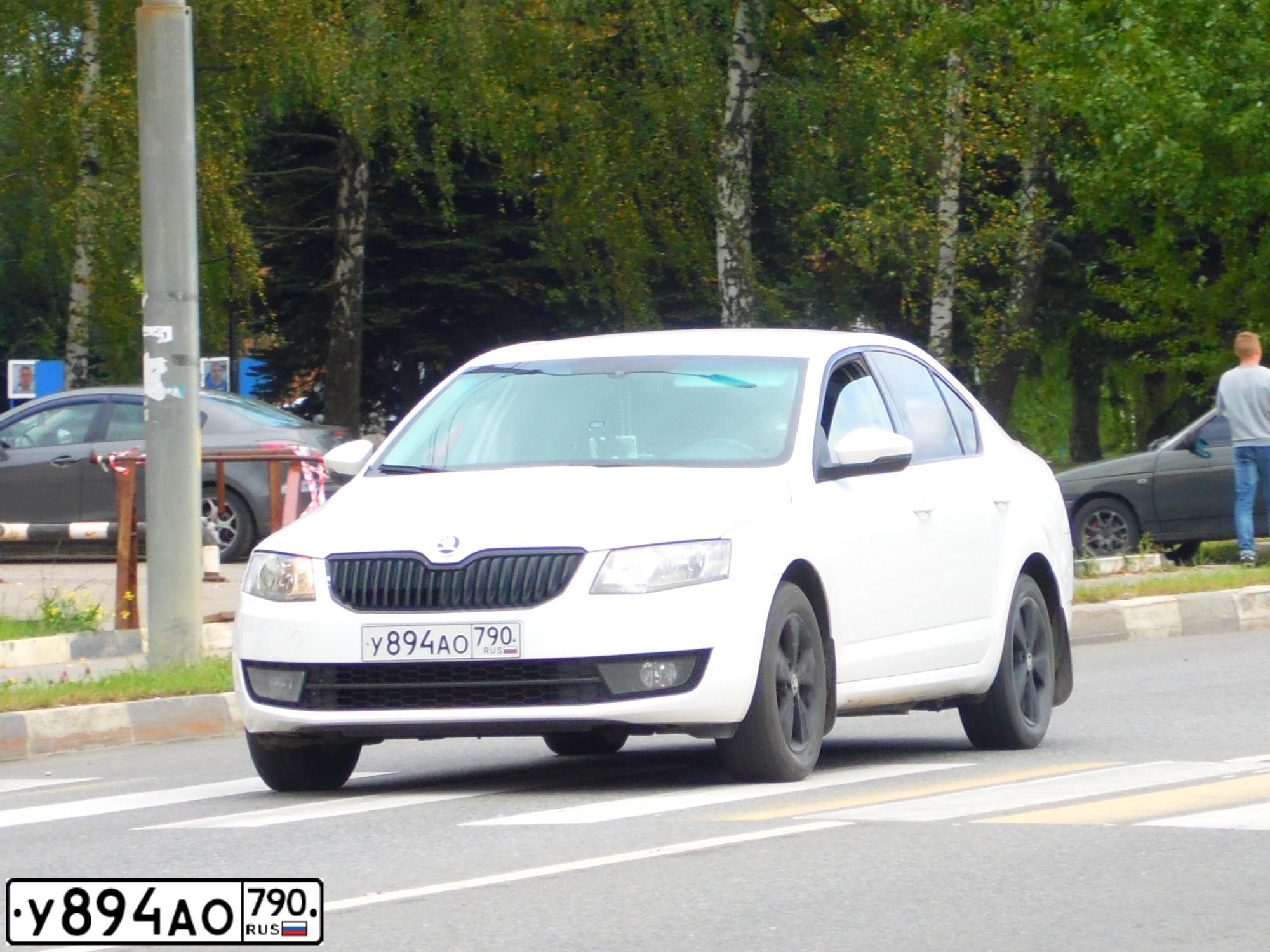 Фото автомобиля SKODA OCTAVIA, 2014 — госномер В319МУ790. Цвет: БЕЛЫЙ