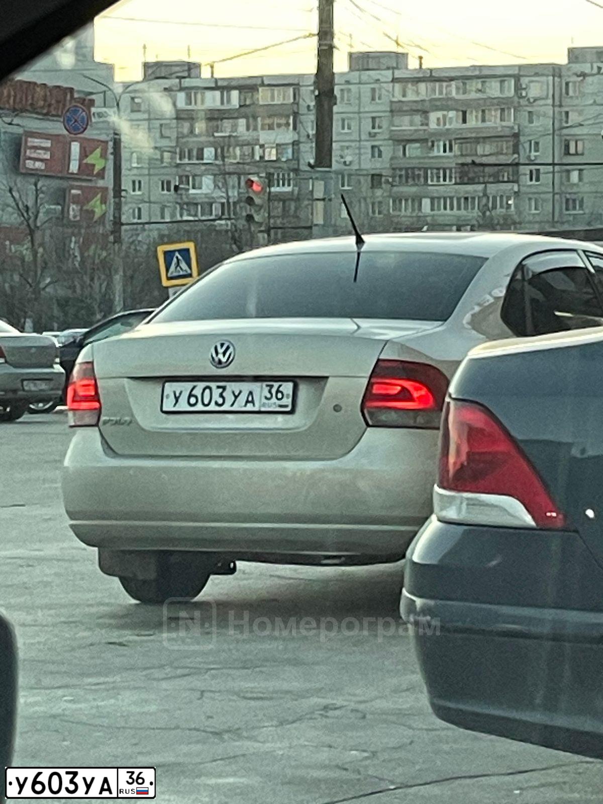 Фото автомобиля FORD FOCUS, 2012 — госномер У603УА36. Цвет: СЕРО-ГОЛУБОЙ
