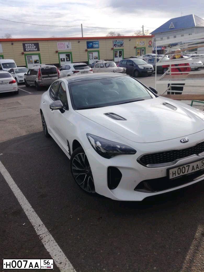 Фото автомобиля KIA STINGER, 2018 — госномер Н007АА56. Цвет: БЕЛЫЙ